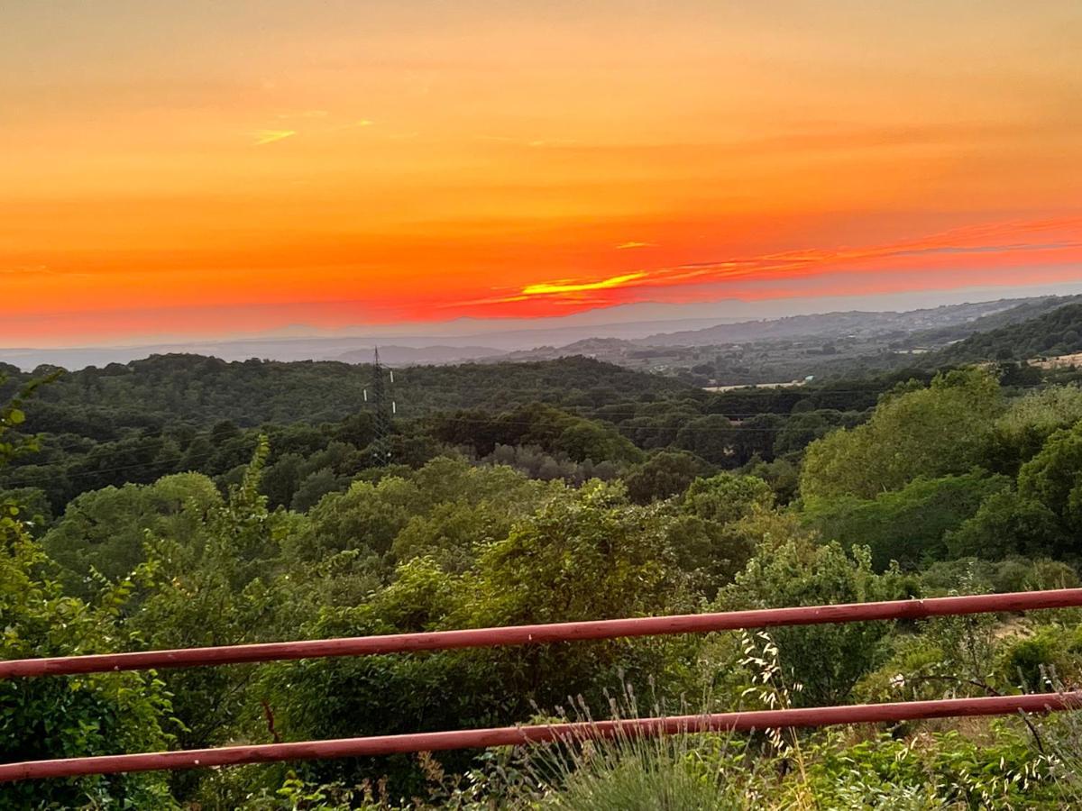 B&B Il Tramonto Barbarano Romano Eksteriør bilde