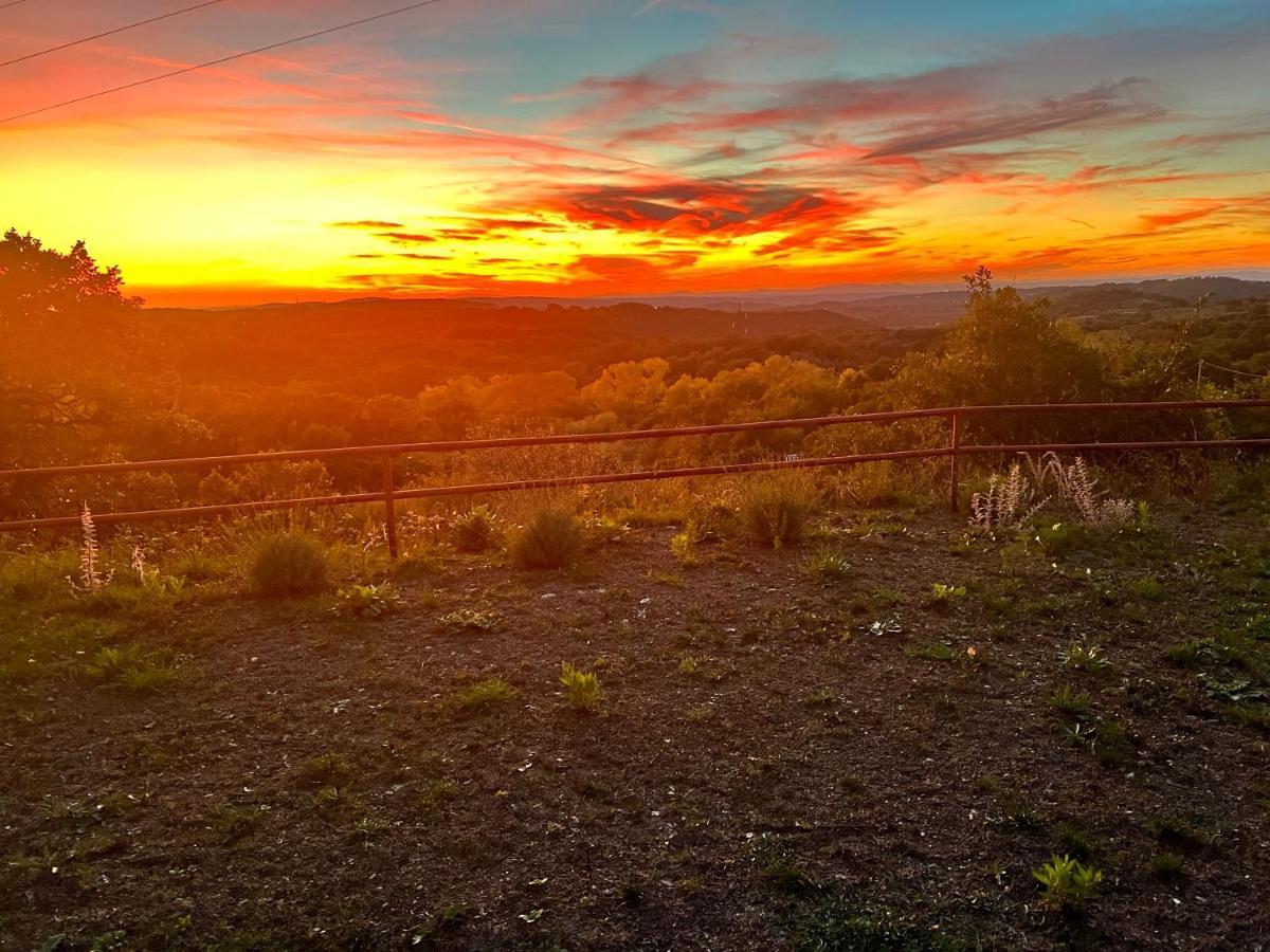 B&B Il Tramonto Barbarano Romano Eksteriør bilde