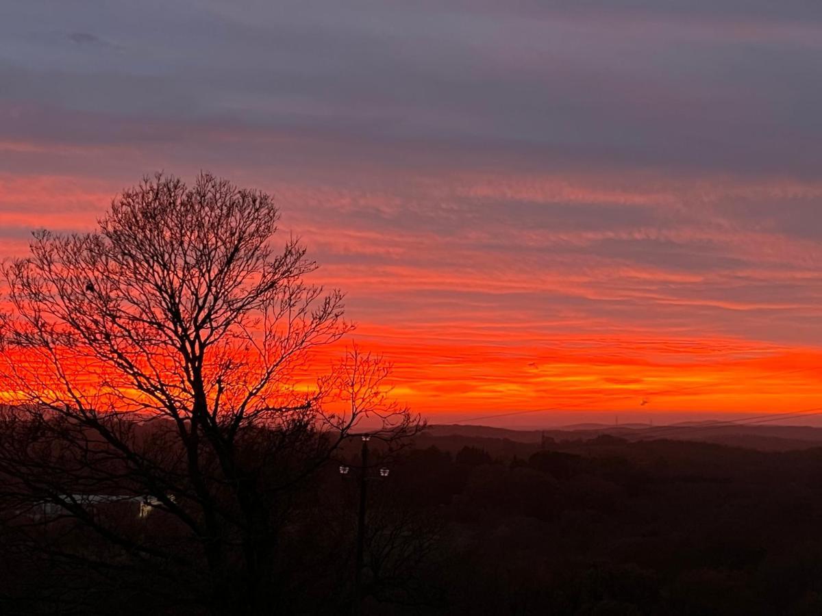 B&B Il Tramonto Barbarano Romano Eksteriør bilde