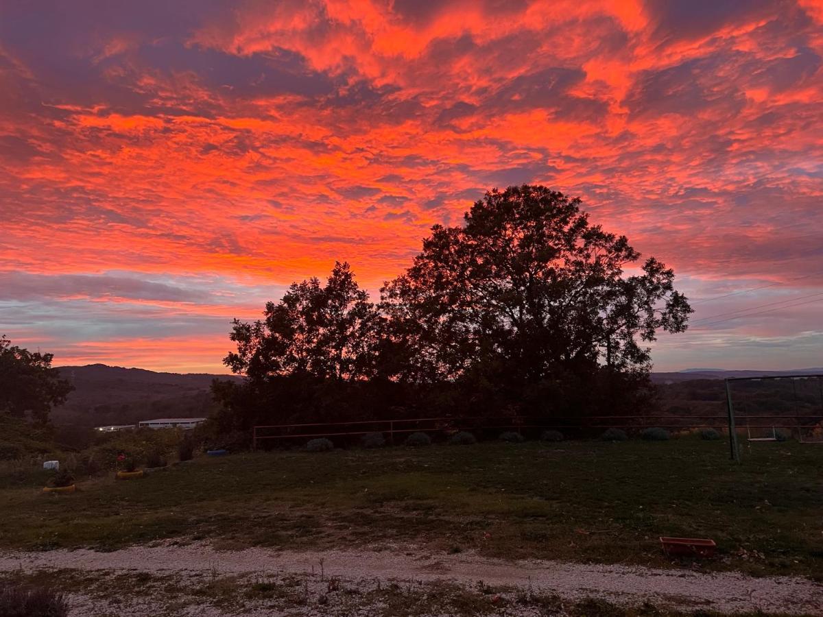 B&B Il Tramonto Barbarano Romano Eksteriør bilde