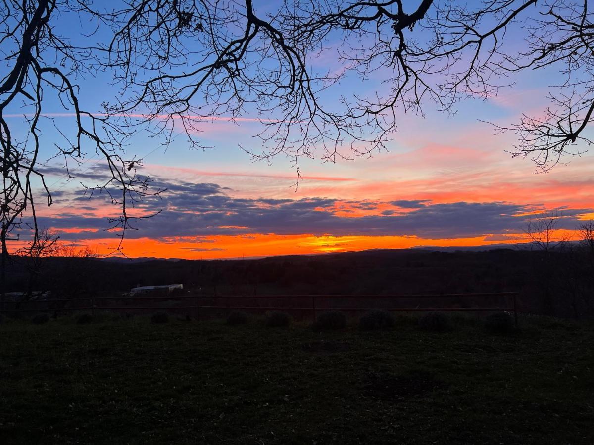 B&B Il Tramonto Barbarano Romano Eksteriør bilde