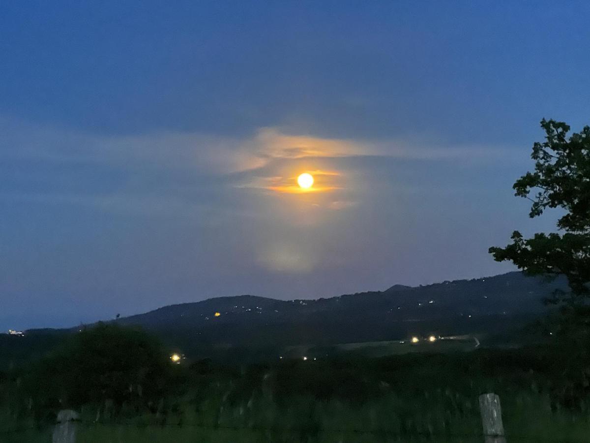 B&B Il Tramonto Barbarano Romano Eksteriør bilde