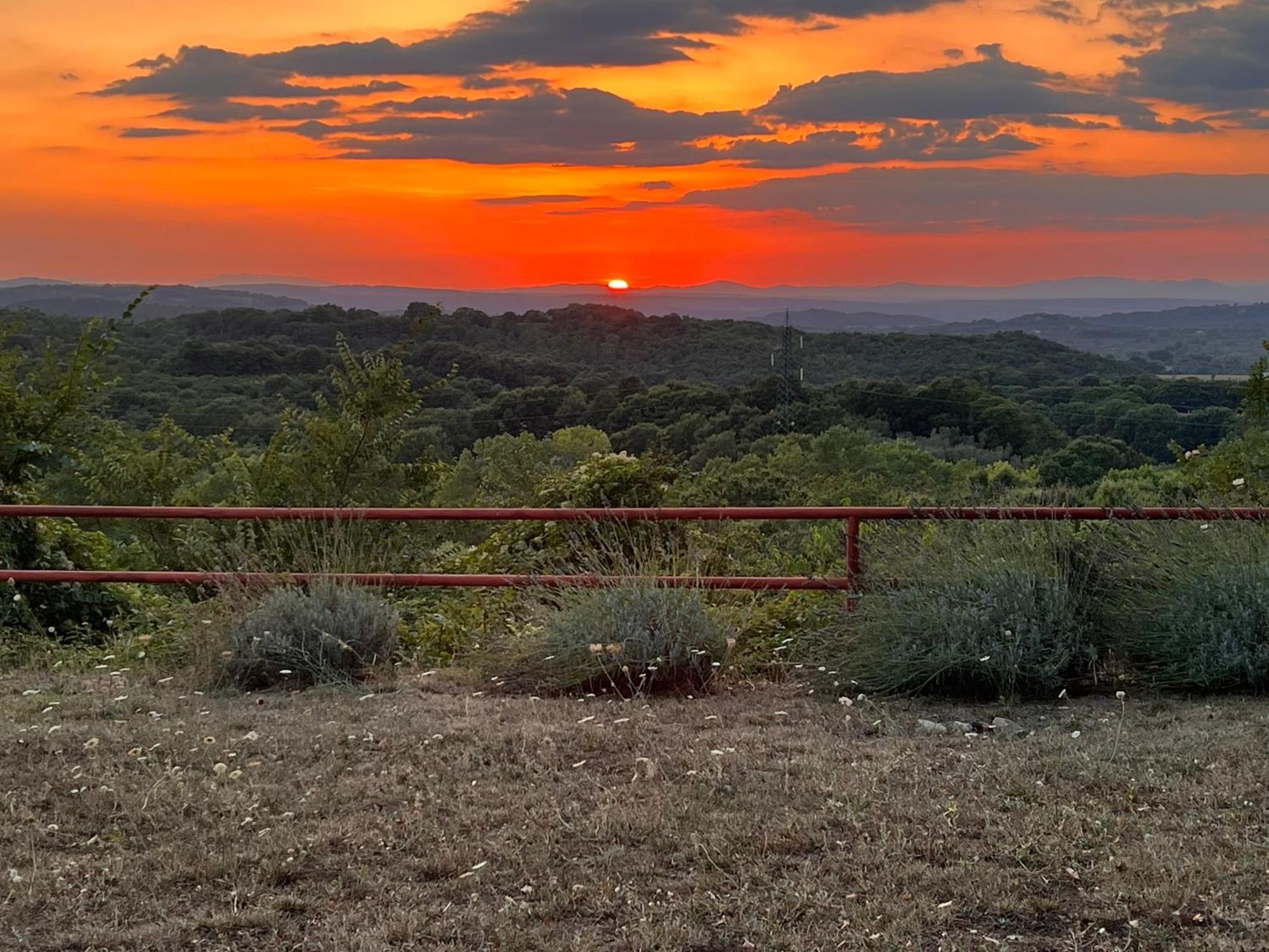 B&B Il Tramonto Barbarano Romano Eksteriør bilde